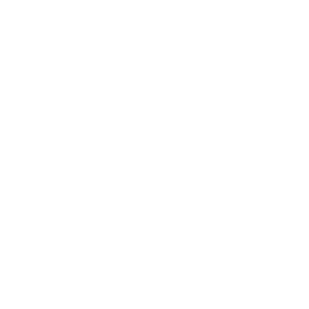 LOGO FINAL SCALE CORP-03