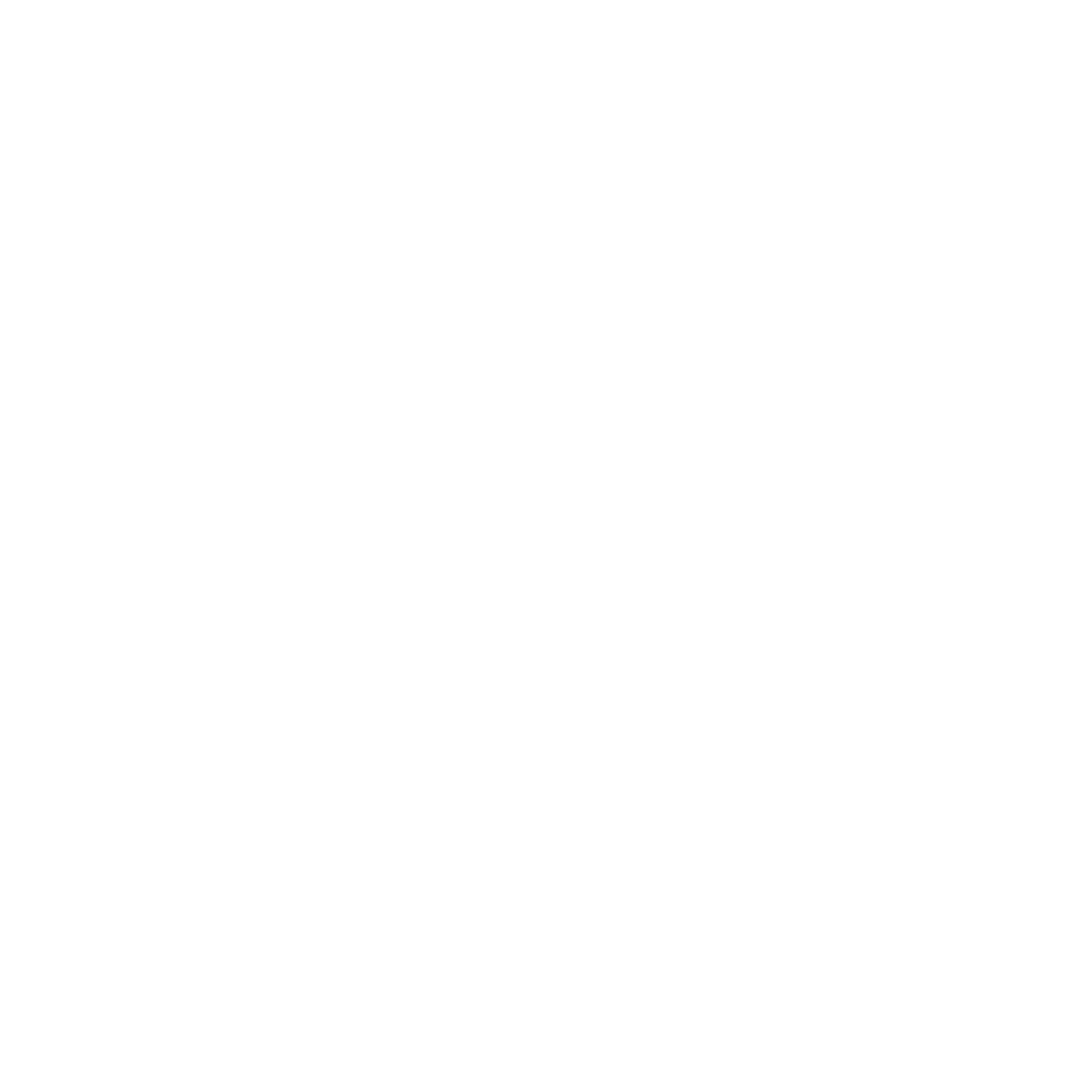 lvk logo final blanc